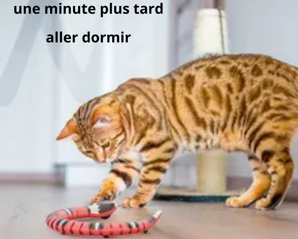 Jouet serpent détection intelligente pour chat