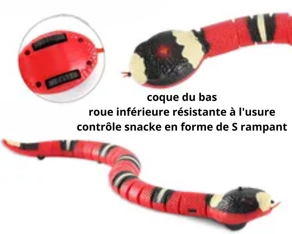 Jouet serpent détection intelligente pour chat